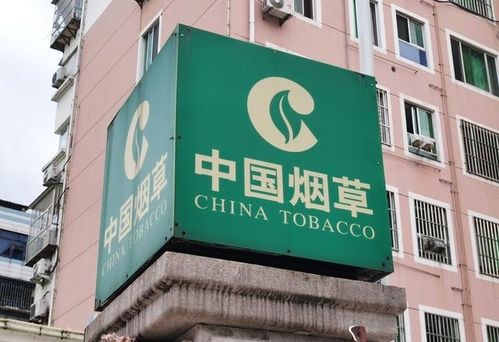 新疆煙草局校招開啟 擴招名額，高中起點，專業不限，軟件開發崗位吸引貴州學子